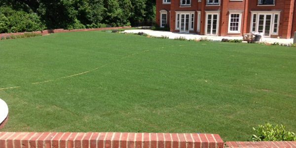 How to install artificial grass?