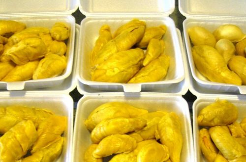 Taste The Exquisite Mountain Cat Durian Fruit From Malaysia